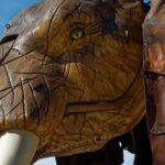 Salon Zen et Bio Nantes