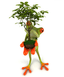 Constellation familiale