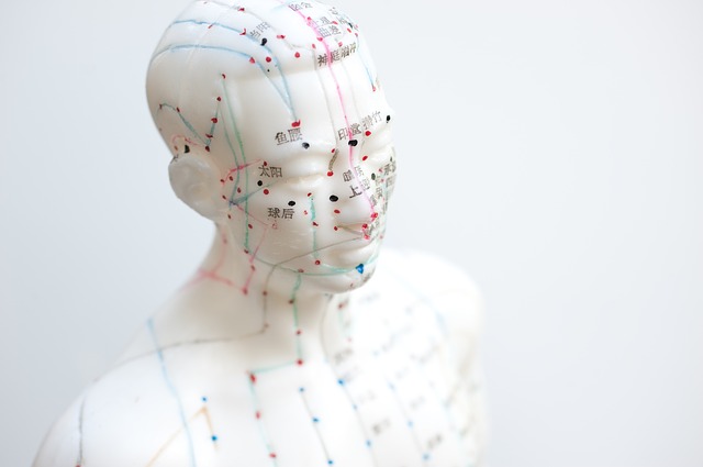 Acupuncture et digipuncture : formation en ligne & à distance