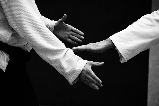 Séminaire Aikido entreprise : l'art de mieux communiquer via un art martial non-violent