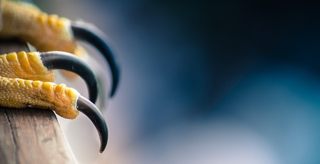 Sortir des griffes d'un manipulateur