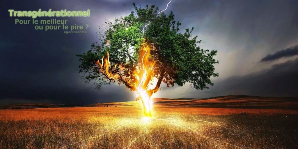 Formation thérapie transgénérationnelle