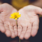 Formation magnétisme en ligne