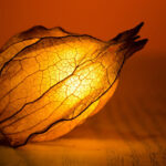 Devenir énergéticien