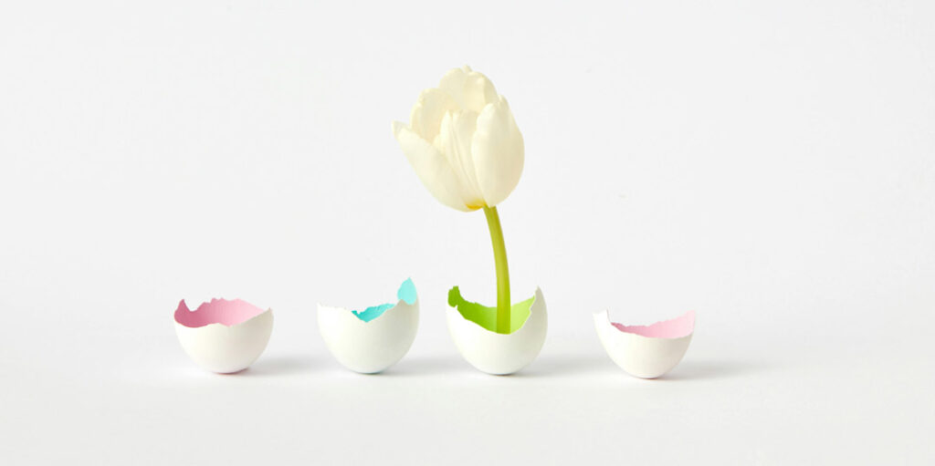 Qu'est-ce que la résilience illustration tulipe dans un "vase" cassé, qui est en fait une coquille d'œuf colorée