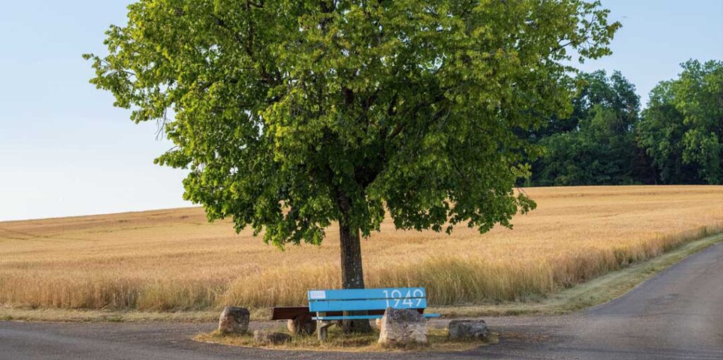 Quelle direction prendre ? Psychogénéalogie forum : et si la réponse se trouvait dans un forum ?