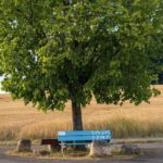 Psychogénéalogie forum : où trouver des réponses à ses questions ? Quelle direction prendre ? Psychogénéalogie forum : et si la réponse se trouvait dans un forum ?