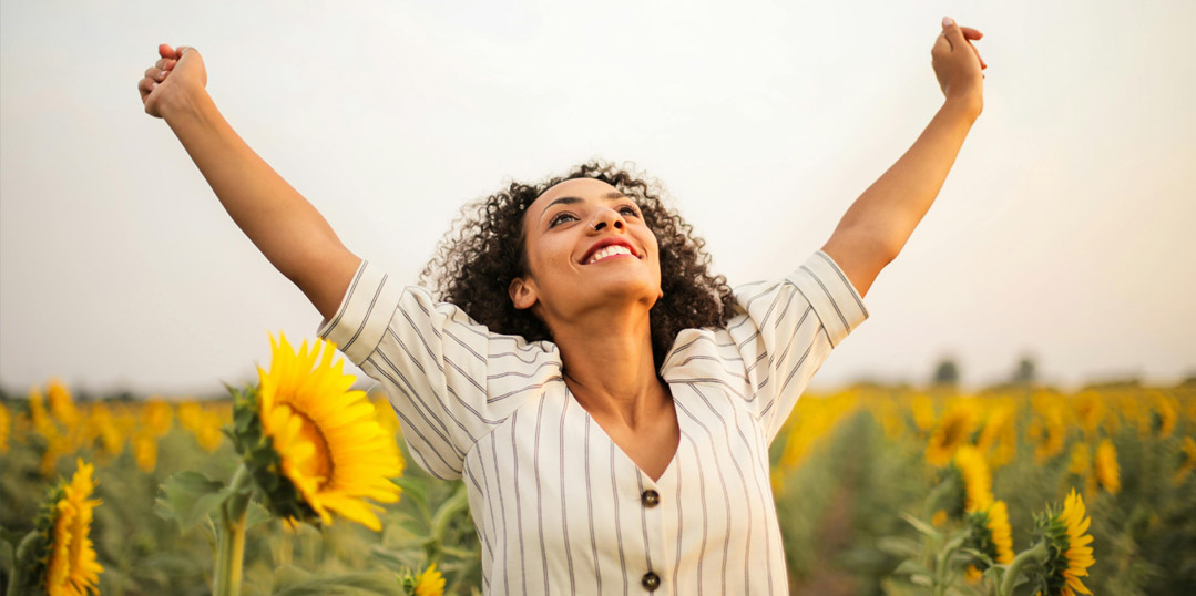 Capsule formation psychogénéalogie