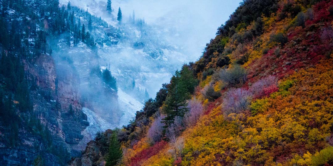 Théorie des cycles pour réussir