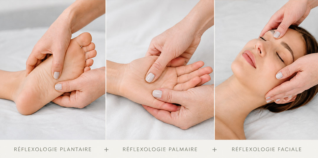 Formation maître praticien réflexologue